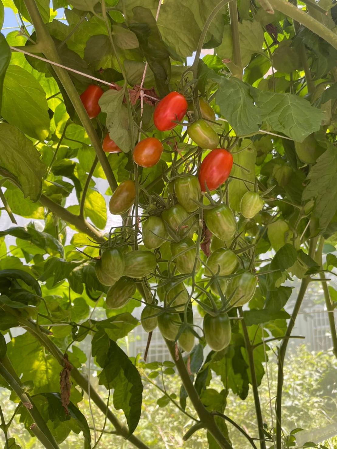 Nantou Fruit House Apartment Renai Bagian luar foto